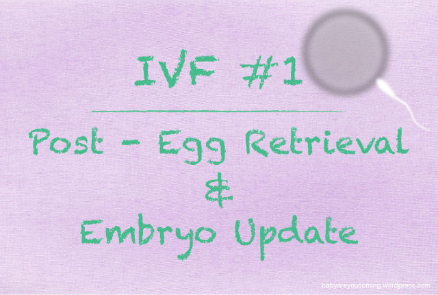 IVF with ICSI - Post Egg Retrieval and Embryo Update